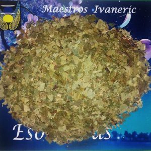 Hierba esotérica abedul