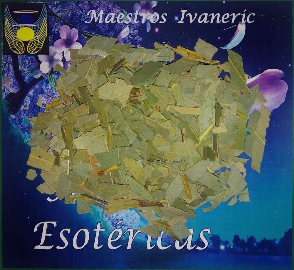 Hierba esotérica eucalipto