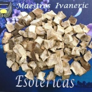 Hierba esotérica achicoria