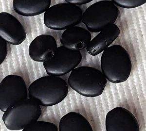 Azabache